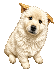 比比